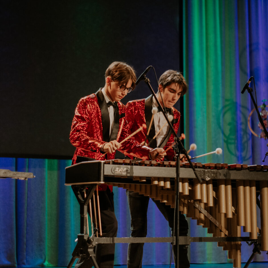 Uzstājas sitaminstrumentālistu trio 